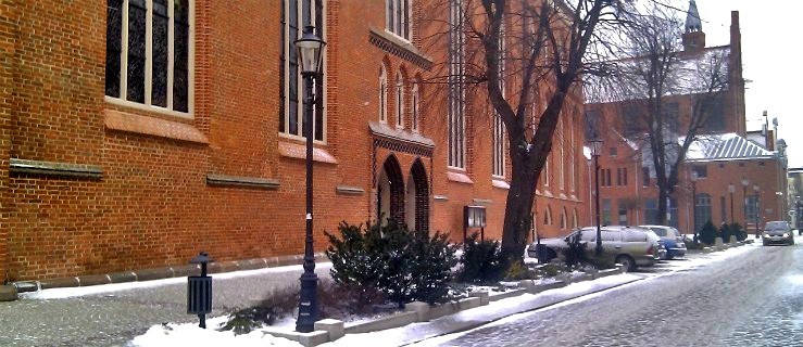 Protest pod Katedrą przeciw aborcji. Uderzyli w poseł Gelert