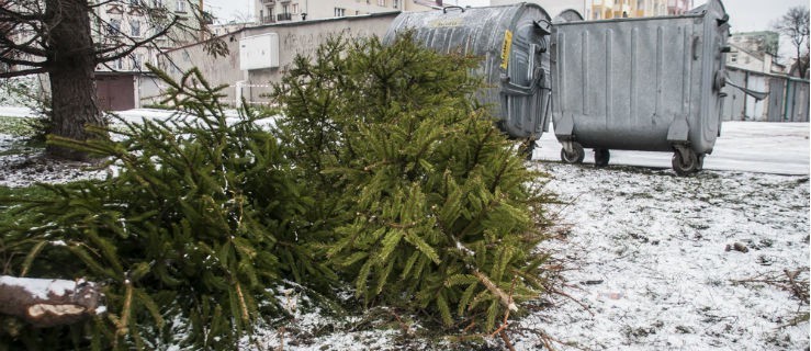 Radni proponują obniżkę cen wywozu śmieci