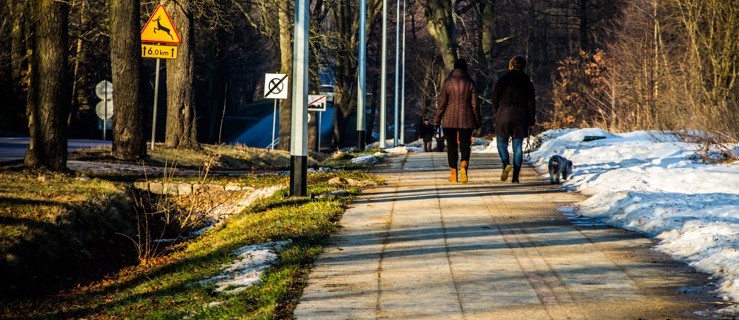 Trwa kolejna edycja Budżetu Obywatelskiego. Jak zmienią się okręgi 2, 3 i 4?