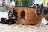 Akcja zerwijmy łańcuchy. Przywiąż psa do siebie, nie do budy