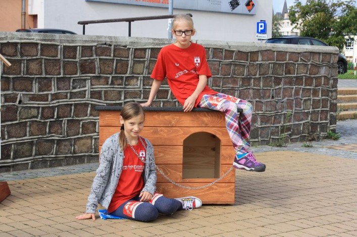 Akcja zerwijmy łańcuchy. Przywiąż psa do siebie, nie do budy