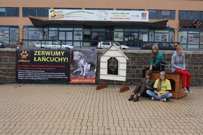 Akcja zerwijmy łańcuchy. Przywiąż psa do siebie, nie do budy