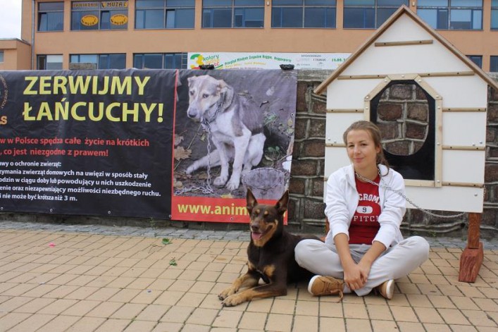 Akcja zerwijmy łańcuchy. Przywiąż psa do siebie, nie do budy