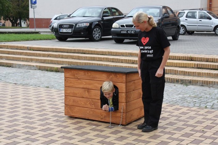 Akcja zerwijmy łańcuchy. Przywiąż psa do siebie, nie do budy