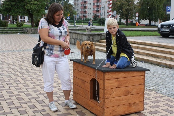 Akcja zerwijmy łańcuchy. Przywiąż psa do siebie, nie do budy