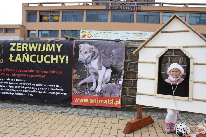Akcja zerwijmy łańcuchy. Przywiąż psa do siebie, nie do budy