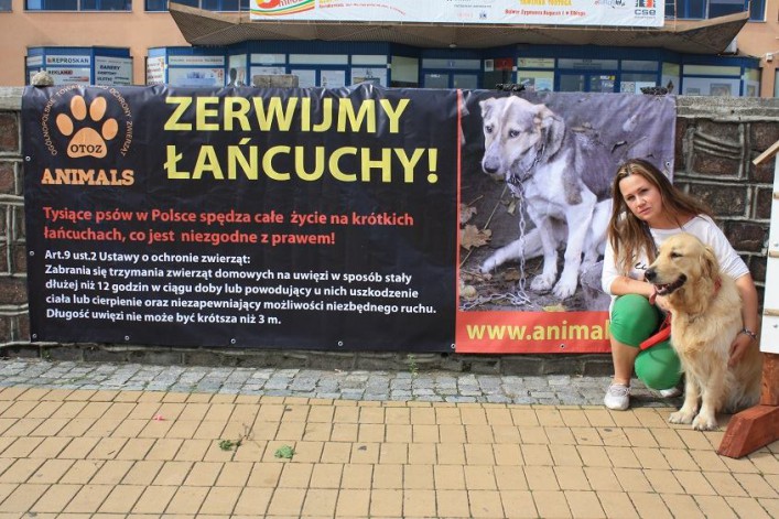 Akcja zerwijmy łańcuchy. Przywiąż psa do siebie, nie do budy