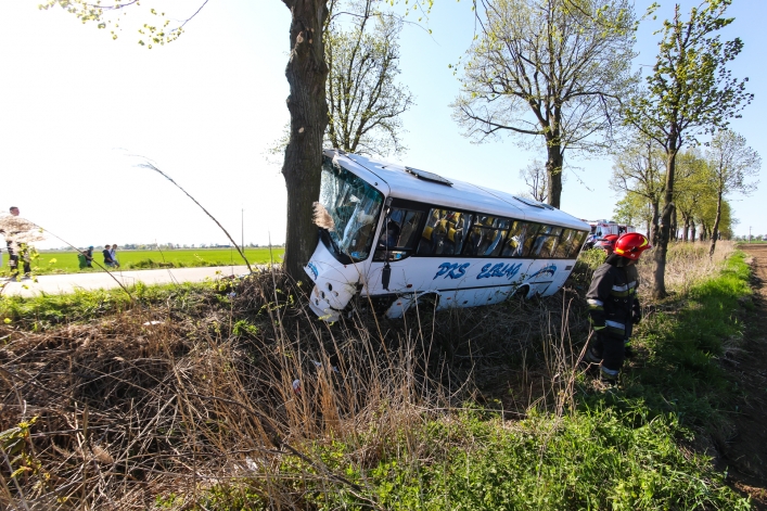 Autobus wypadł z drogi. 8 osób rannych