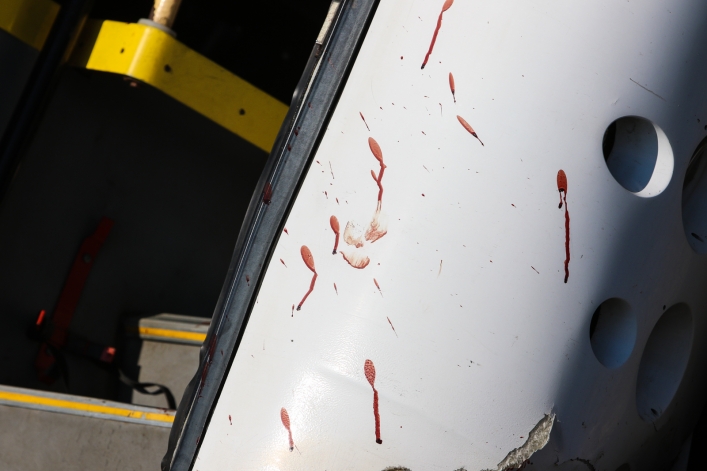 Autobus wypadł z drogi. 8 osób rannych