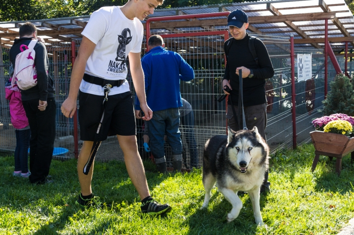 Bieg na Sześć Łap ma już rok – zobacz obszerną fotorelację