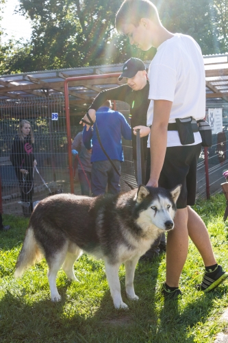Bieg na Sześć Łap ma już rok – zobacz obszerną fotorelację