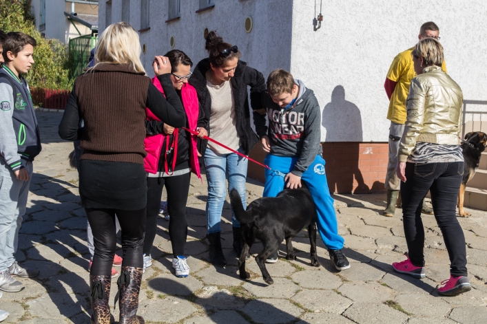Bieg na Sześć Łap ma już rok – zobacz obszerną fotorelację