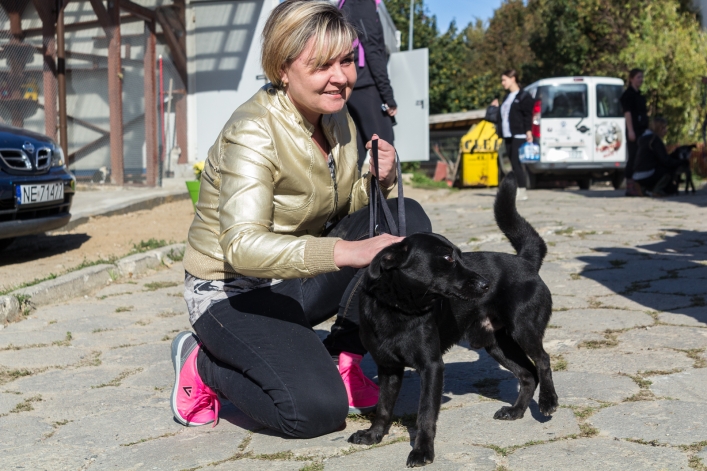 Bieg na Sześć Łap ma już rok – zobacz obszerną fotorelację