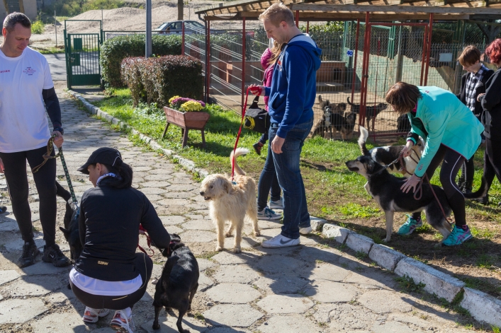 Bieg na Sześć Łap ma już rok – zobacz obszerną fotorelację