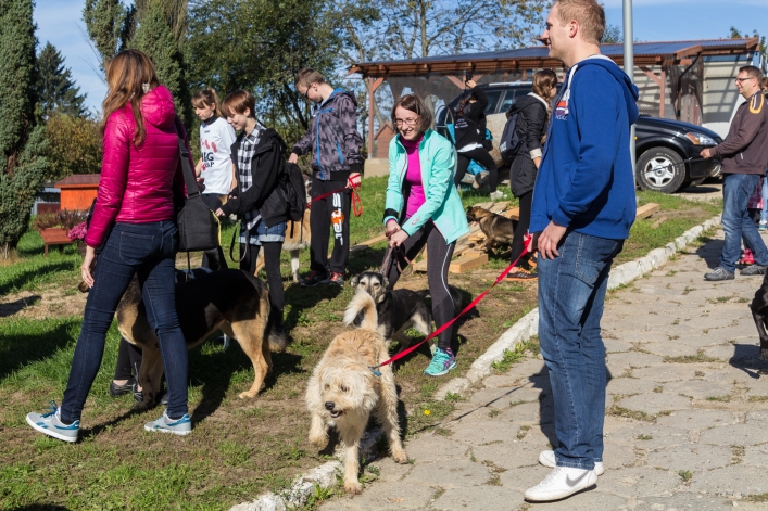 Bieg na Sześć Łap ma już rok – zobacz obszerną fotorelację