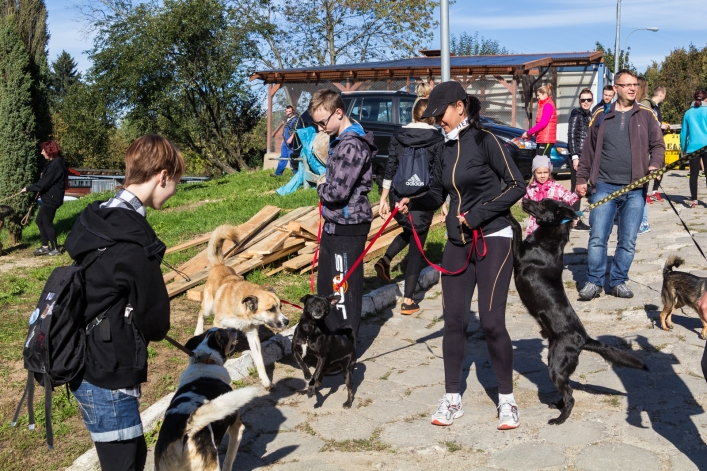Bieg na Sześć Łap ma już rok – zobacz obszerną fotorelację