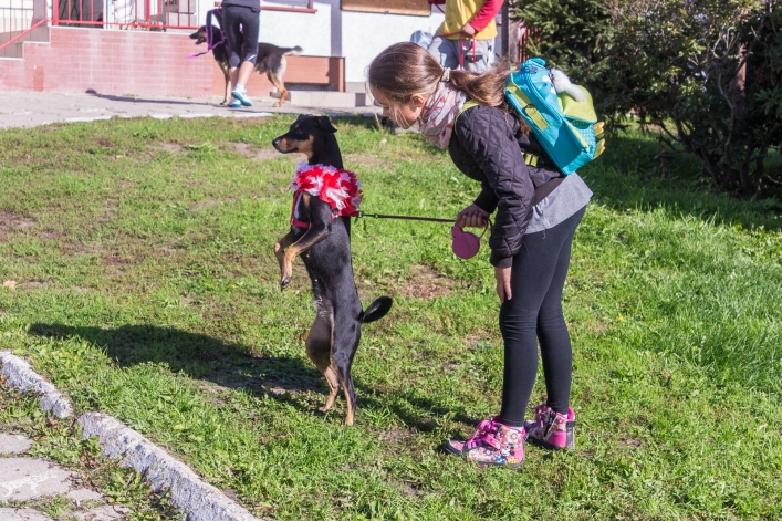 Bieg na Sześć Łap ma już rok – zobacz obszerną fotorelację