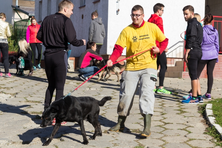 Bieg na Sześć Łap ma już rok – zobacz obszerną fotorelację