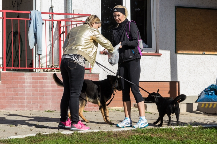 Bieg na Sześć Łap ma już rok – zobacz obszerną fotorelację
