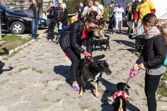 Bieg na Sześć Łap ma już rok – zobacz obszerną fotorelację