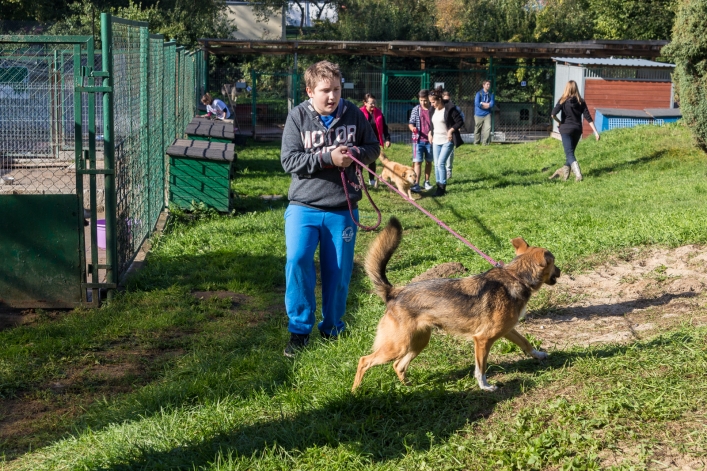 Bieg na Sześć Łap ma już rok – zobacz obszerną fotorelację