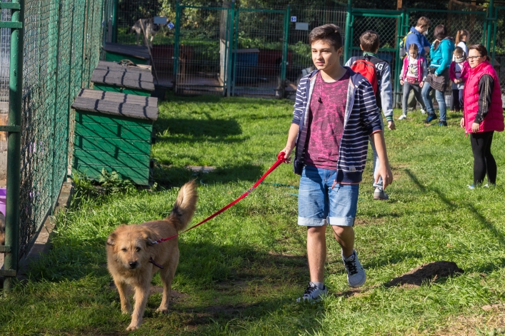 Bieg na Sześć Łap ma już rok – zobacz obszerną fotorelację