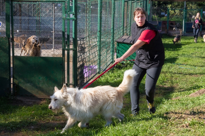 Bieg na Sześć Łap ma już rok – zobacz obszerną fotorelację