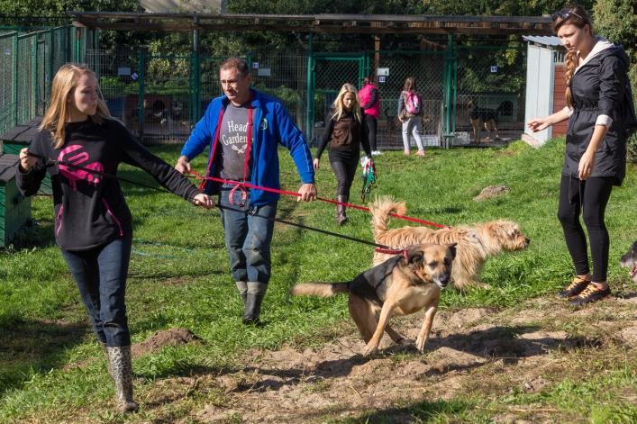 Bieg na Sześć Łap ma już rok – zobacz obszerną fotorelację