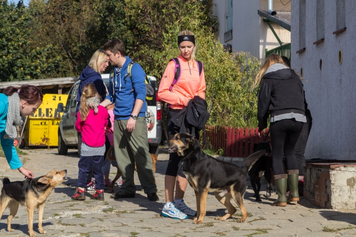 Bieg na Sześć Łap ma już rok – zobacz obszerną fotorelację