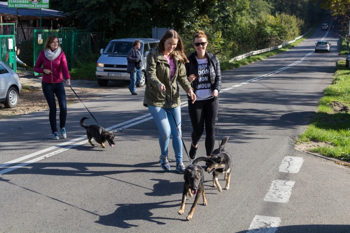 Bieg na Sześć Łap ma już rok – zobacz obszerną fotorelację