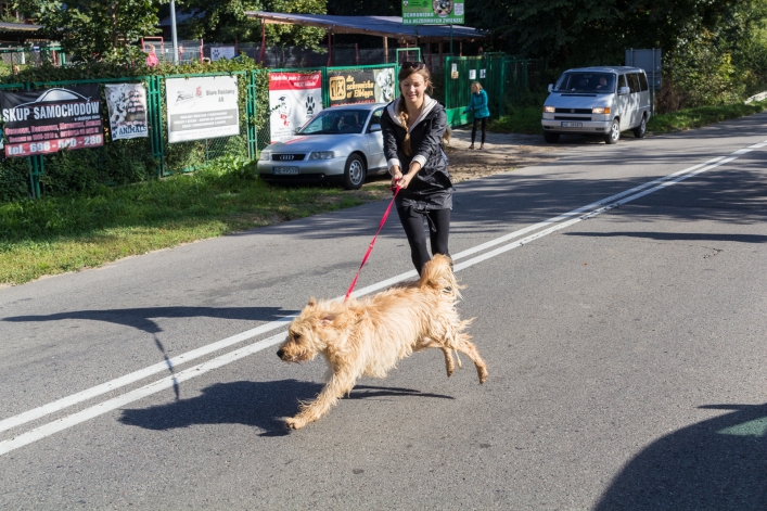 Bieg na Sześć Łap ma już rok – zobacz obszerną fotorelację