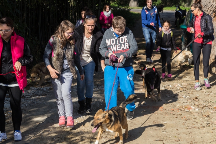 Bieg na Sześć Łap ma już rok – zobacz obszerną fotorelację