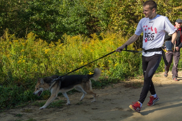 Bieg na Sześć Łap ma już rok – zobacz obszerną fotorelację