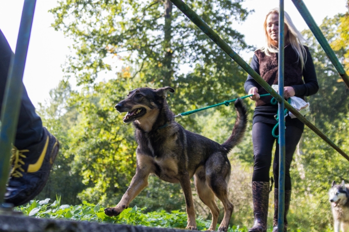 Bieg na Sześć Łap ma już rok – zobacz obszerną fotorelację