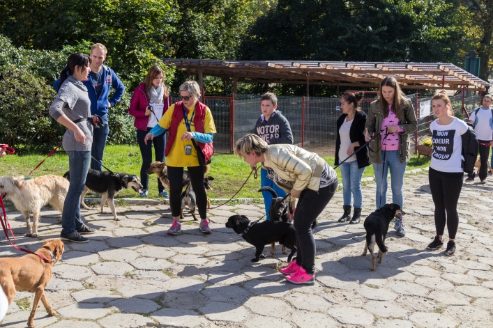 Bieg na Sześć Łap ma już rok – zobacz obszerną fotorelację