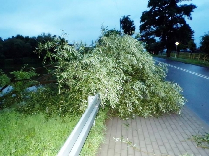 Burza nad powiatem. Dzięki współpracy z Info Meteo Elbląg publikujemy zdjęcia!