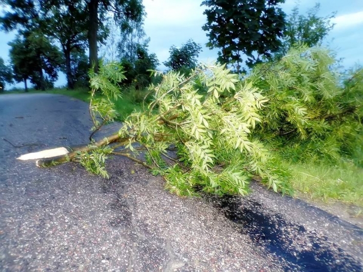 Burza nad powiatem. Dzięki współpracy z Info Meteo Elbląg publikujemy zdjęcia!