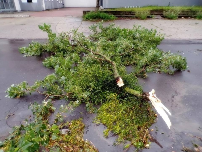 Burza nad powiatem. Dzięki współpracy z Info Meteo Elbląg publikujemy zdjęcia!