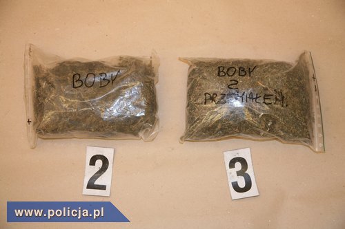 CBŚ uderza w handel narkotykami w Elblągu