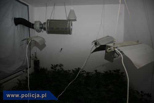 CBŚ uderza w handlarzy narkotykami także w Elblągu