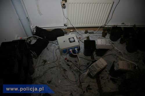 CBŚ uderza w handlarzy narkotykami także w Elblągu