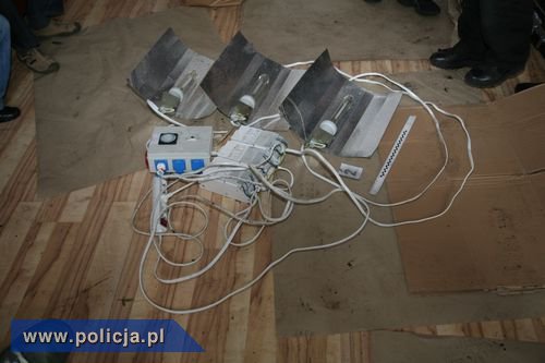 CBŚ uderza w handlarzy narkotykami także w Elblągu