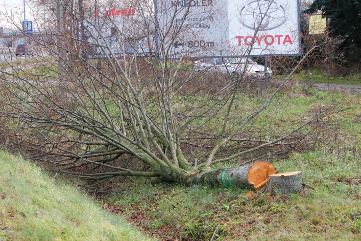 Ciężki sprzęt wjechał na budowę drogi S7 Gdańsk-Elbląg