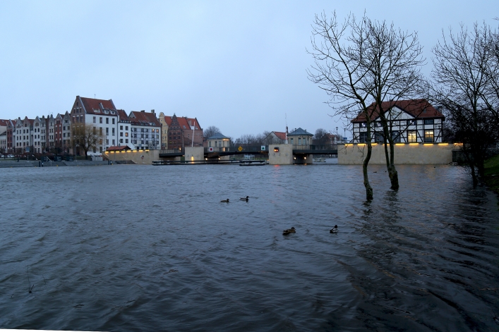 Cofka na rzece Elbląg, 2 stycznia 2019 r.