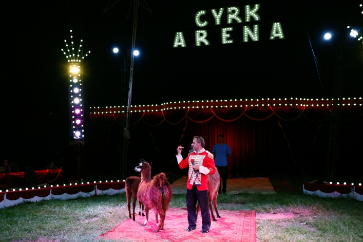 Cyrk Arena dał pokaz w Elblągu (+ zdjęcia)