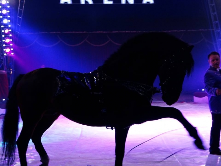 Cyrk Arena z pokazem LWÓW odwiedzi Elbląg