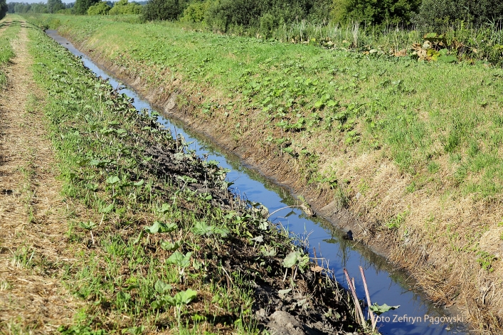 Kolejne zatrucie na Druznie i Terkawce. Winna firma z Gronowa Górnego