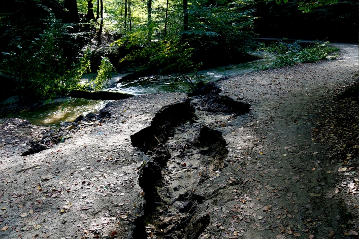 Czerowny szlak w Bażantarni wyłączony z użytkowania. Ucierpiał  m.in.mostek Elewów (+ zdjęcia)