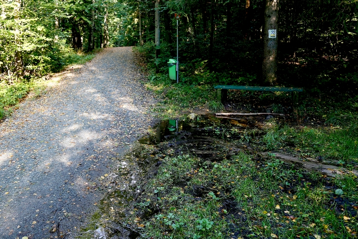 Czerowny szlak w Bażantarni wyłączony z użytkowania. Ucierpiał  m.in.mostek Elewów (+ zdjęcia)
