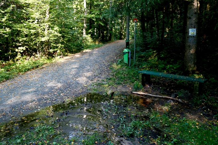 Czerowny szlak w Bażantarni wyłączony z użytkowania. Ucierpiał  m.in.mostek Elewów (+ zdjęcia)